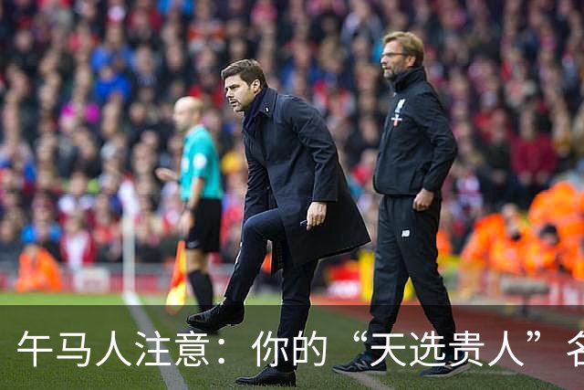 午马人注意：你的“天选贵人”名单曝光，第一名绝了！