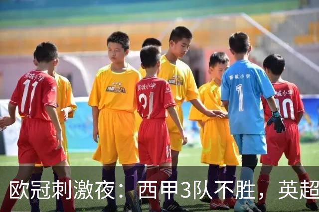 欧冠刺激夜：西甲3队不胜，英超意甲法甲全胜，德甲2队不败
