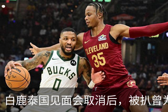 白鹿泰国见面会取消后，被扒曾为缅北拍宣传片，知情人爆更多内幕