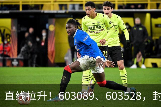 直线拉升！603089、603528，封涨停！