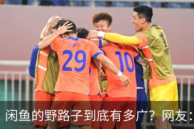 闲鱼的野路子到底有多广？网友：五花八门的啥都有