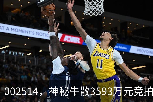 002514，神秘牛散3593万元竞拍股权，将成第三大股东