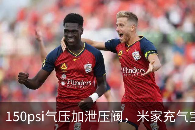 150psi气压加泄压阀，米家充气宝3开售199元